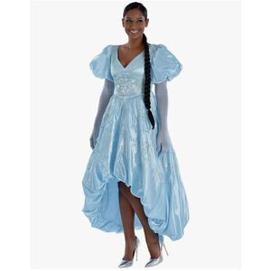 Disney NEW sz Small Adult Cinderella Princess costume